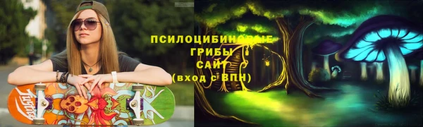 крисы Красноперекопск