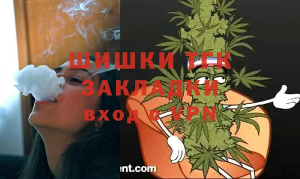 ПСИЛОЦИБИНОВЫЕ ГРИБЫ Краснослободск