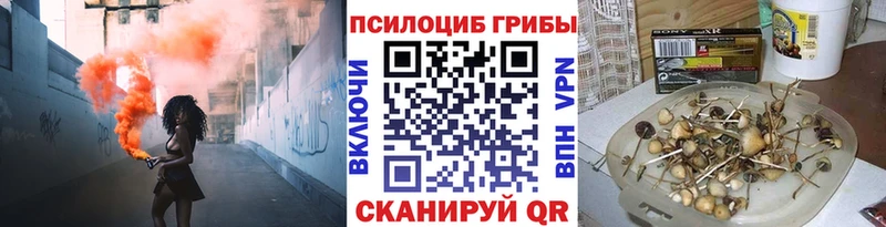 Купить где  Лихославль  Псилоцибиновые грибы Magic Shrooms 